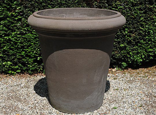 Colorato terracotta pot vaso camelia
