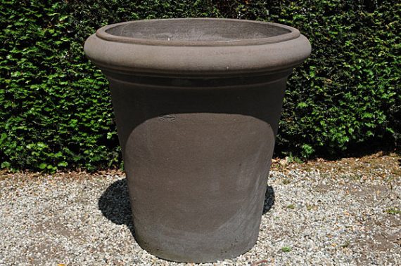 Colorato terracotta pot vaso camelia