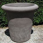 Colorato terracotta pot vaso camelia bordo liscio