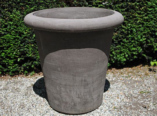 Colorato terracotta pot vaso camelia bordo liscio