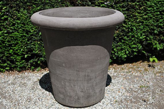 Colorato terracotta pot vaso camelia bordo liscio