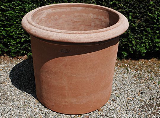 Terracotta pot vaso cilindro con bordo