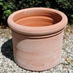 Terracotta pot vasetto leo