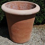 Terracotta pot vaso camelia bordo liscio