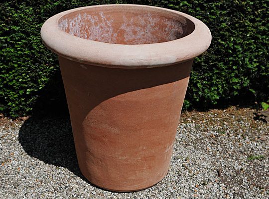 Terracotta pot vaso camelia bordo liscio