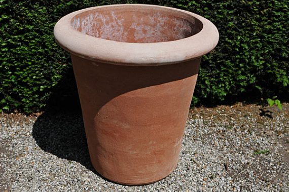 Terracotta pot vaso camelia bordo liscio