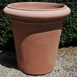 Terracotta pot vaso camelia