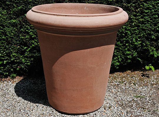 Terracotta pot vaso camelia