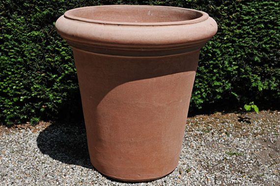 Terracotta pot vaso camelia