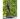 sprintendemanAN2273-BR-B