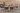 Denia_Sitzgruppe_Dining-Sessel_Sitz-Rueckenpolster_Tisch_220x100_2
